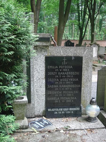Zdjęcie grobu Daniela Michalska (1)