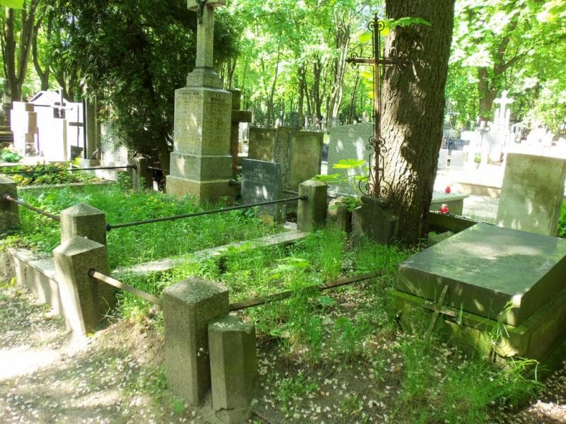 Zdjęcie grobu Pałczyńscy (1)