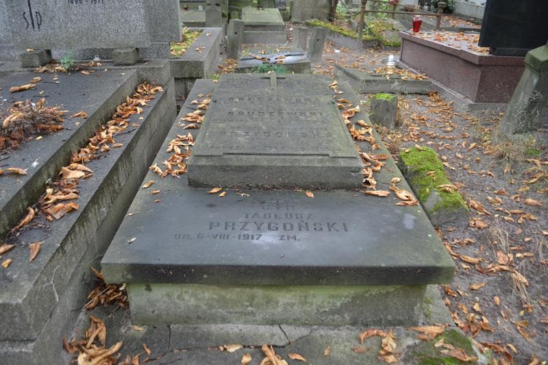 Zdjęcie grobu Czesław Przygoński (1)