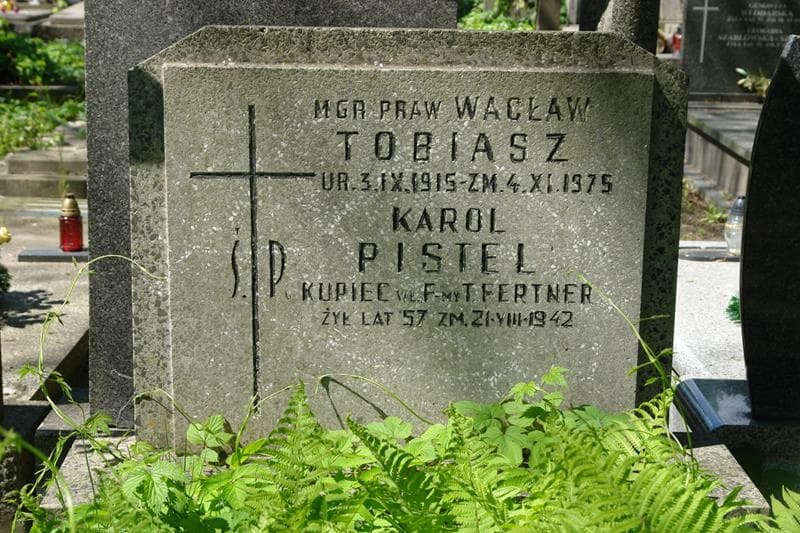 Zdjęcie grobu Karol Pistel (2)