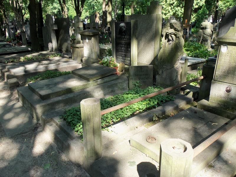 Zdjęcie grobu: Szczepan Pszczółkowski