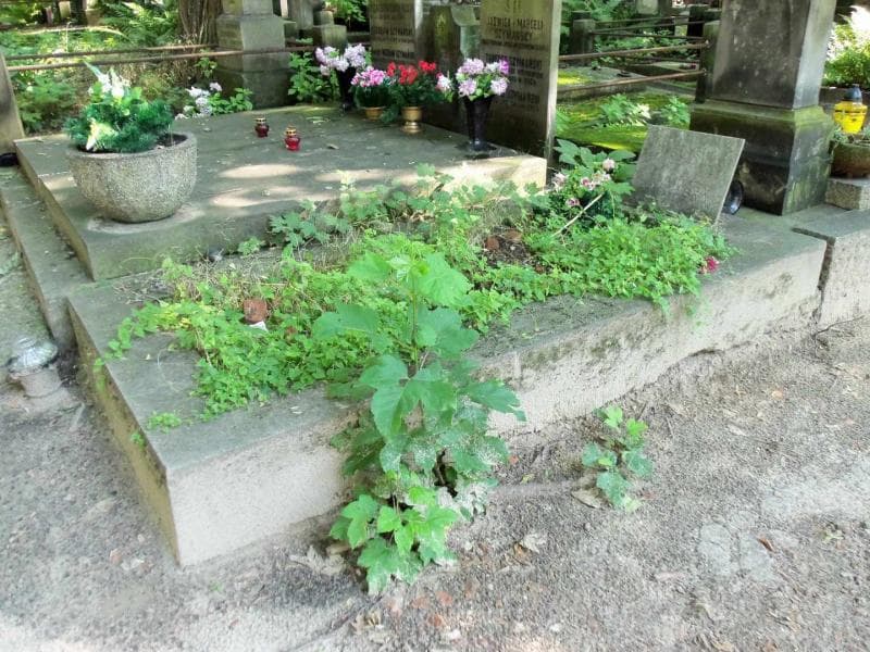 Zdjęcie grobu Julia Cybulska (1)