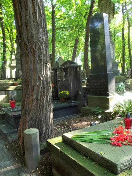 Zdjęcie grobu Emilja Loewenstein (1)
