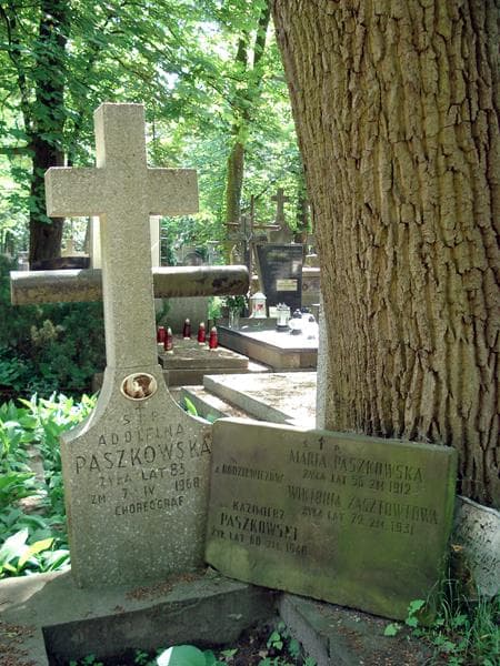 Zdjęcie grobu Kazimierz Paszkowski (1)