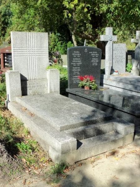 Zdjęcie grobu Ludwik Bohdziewicz (1)