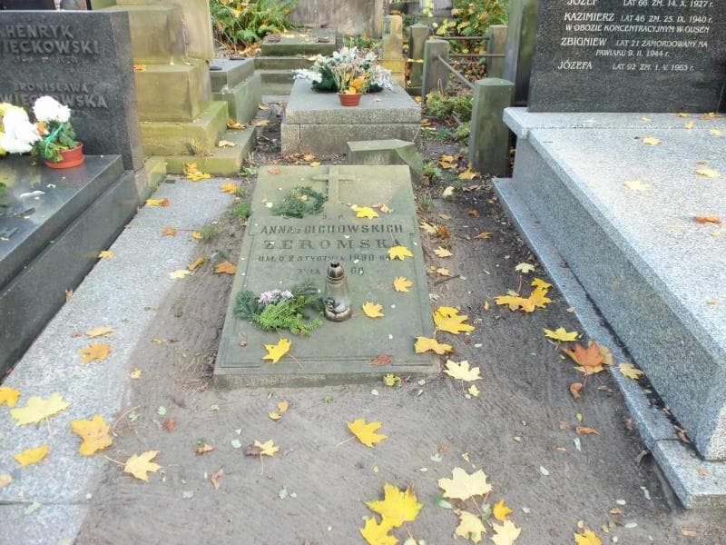 Zdjęcie grobu: Anna Żeromska
