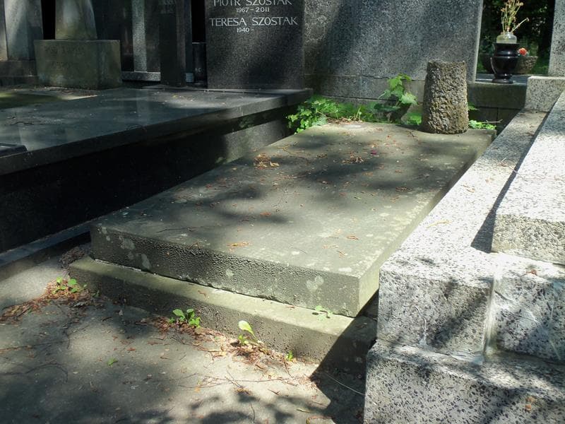 Zdjęcie grobu Janina Wojtkiewicz (2)