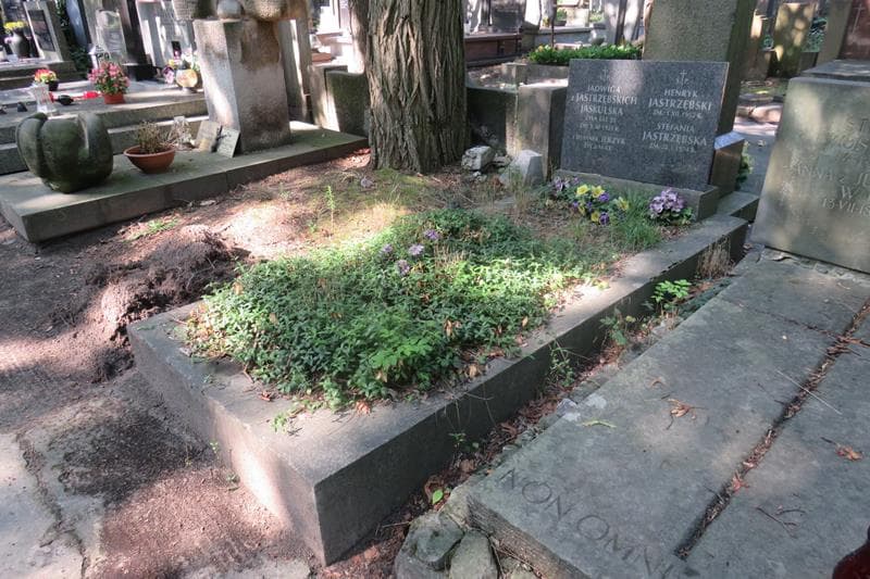 Zdjęcie grobu: Jerzyk Jaskulski