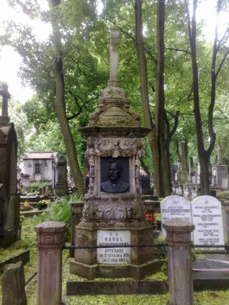 Zdjęcie grobu Juliusz Leski (2)