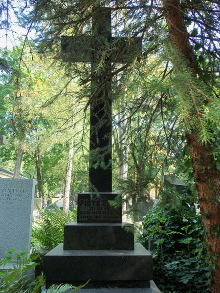 Zdjęcie grobu Piotr Herr (2)