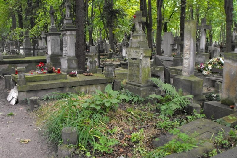 Zdjęcie grobu: Bolesław Hadryszewski