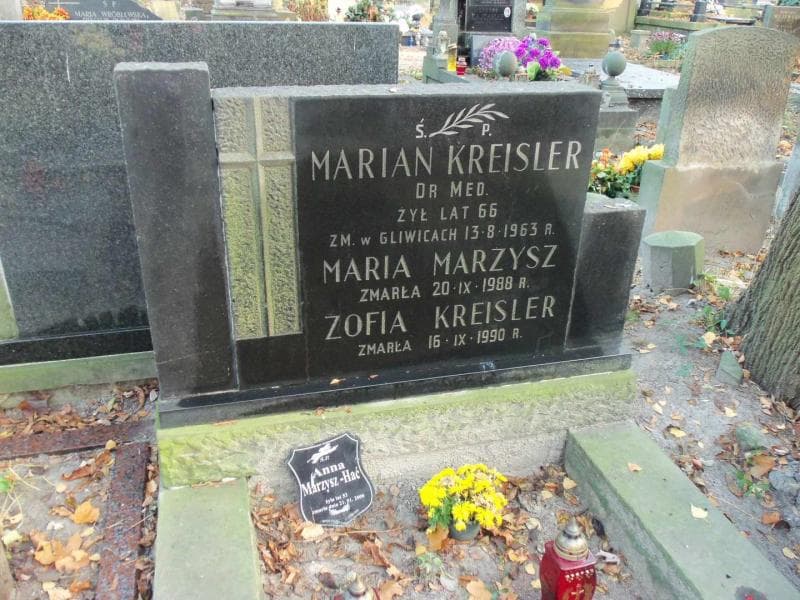 Zdjęcie grobu Anna Marzysz-Hać (2)