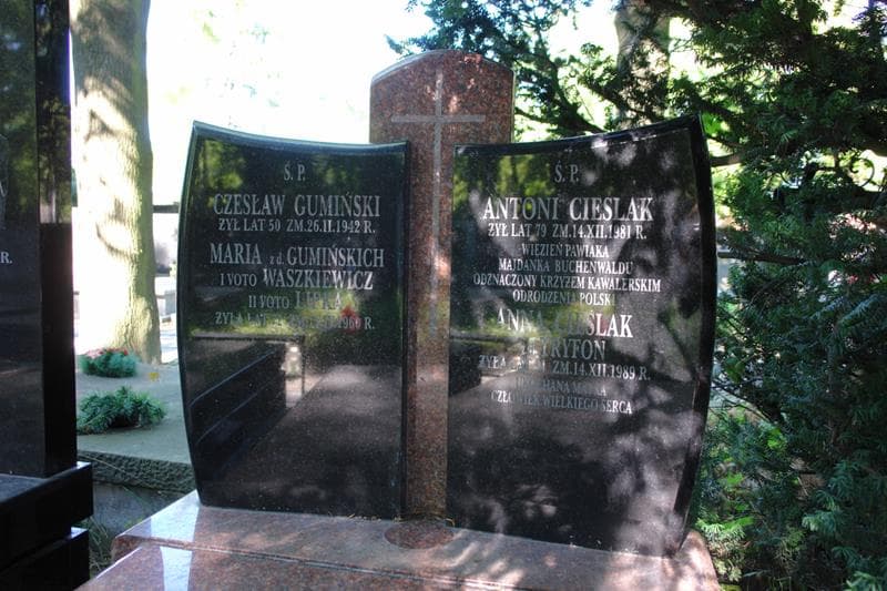 Zdjęcie grobu Anna Cieślak (2)