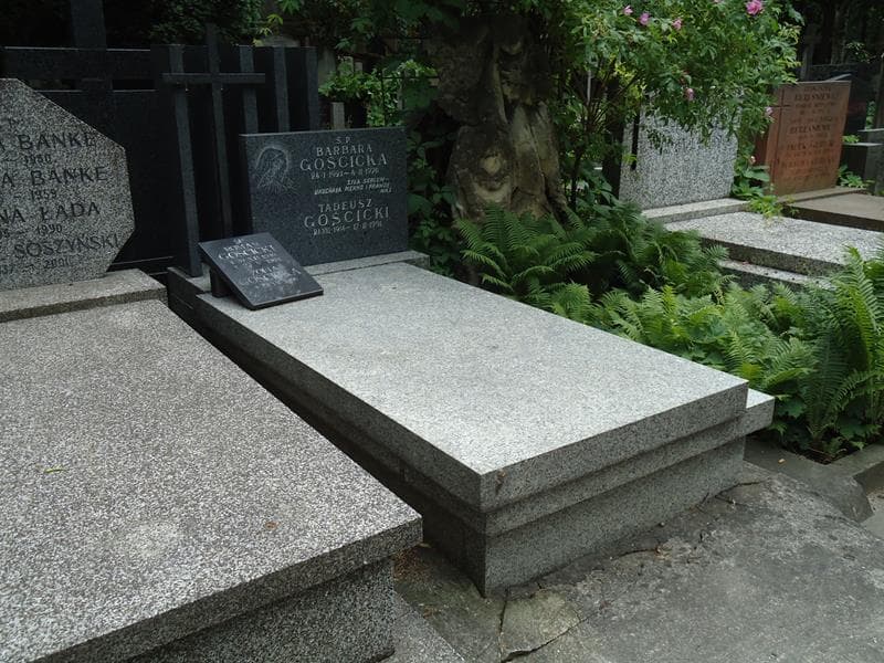 Zdjęcie grobu Roman Gościcki (1)