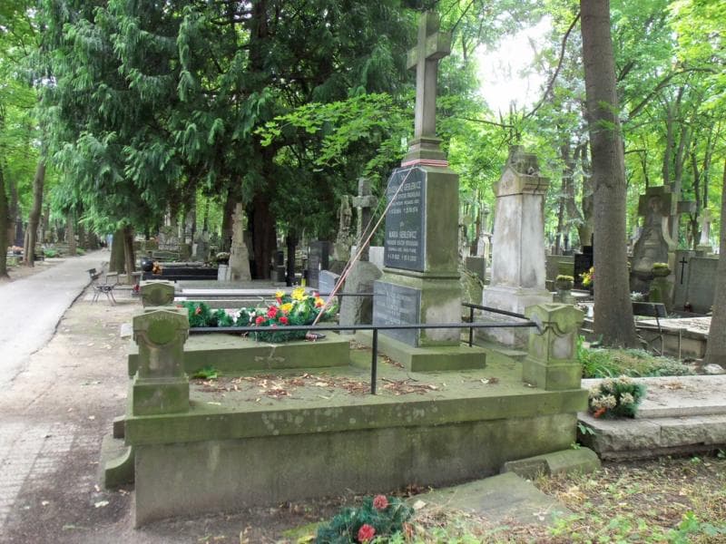 Zdjęcie grobu Bronisława Babicka (1)