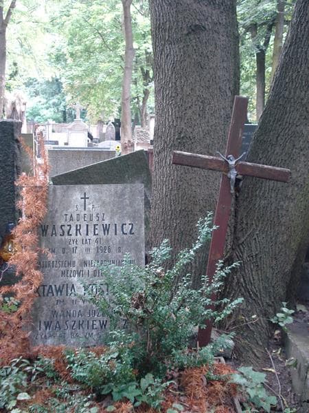 Zdjęcie grobu Wanda Józefa Iwaszkewicz (2)