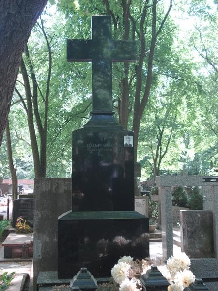 Zdjęcie grobu Józef Wrona (1)