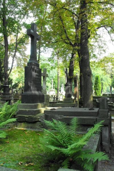 Zdjęcie grobu Zofia Gurzycka (2)