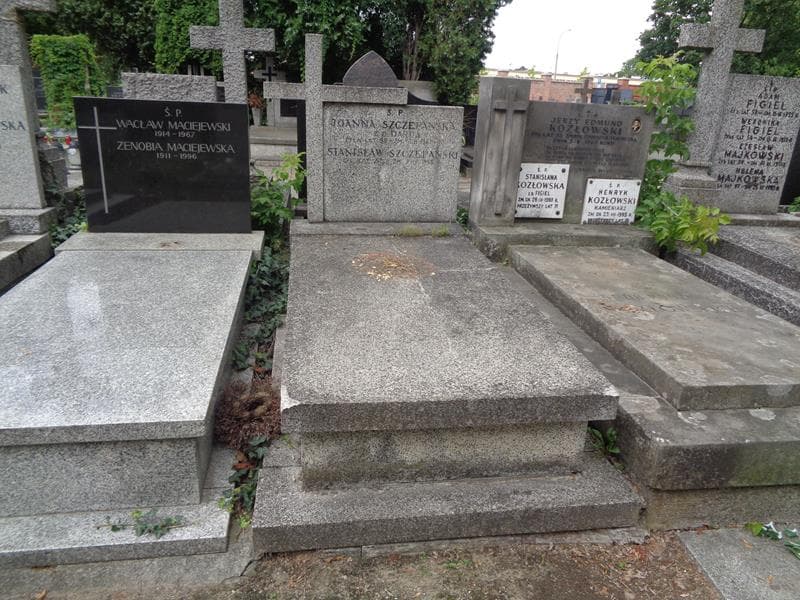 Zdjęcie grobu Stanisław Szczepański (1)