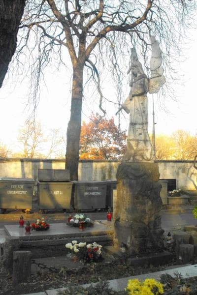 Zdjęcie grobu Stanisława Baszkiewicz (1)