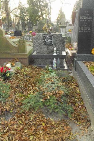 Zdjęcie grobu: Edward Czernicki