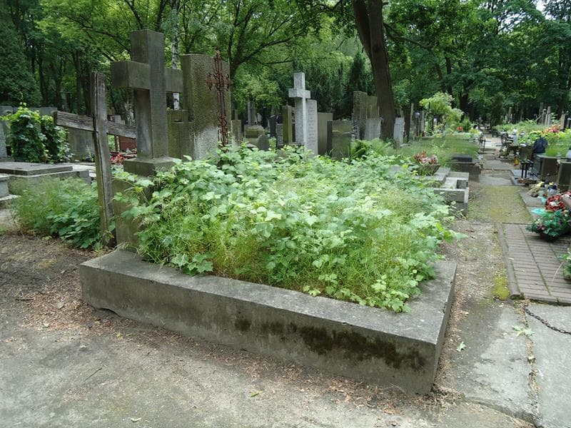 Zdjęcie grobu Franciszka Myszkowska (1)