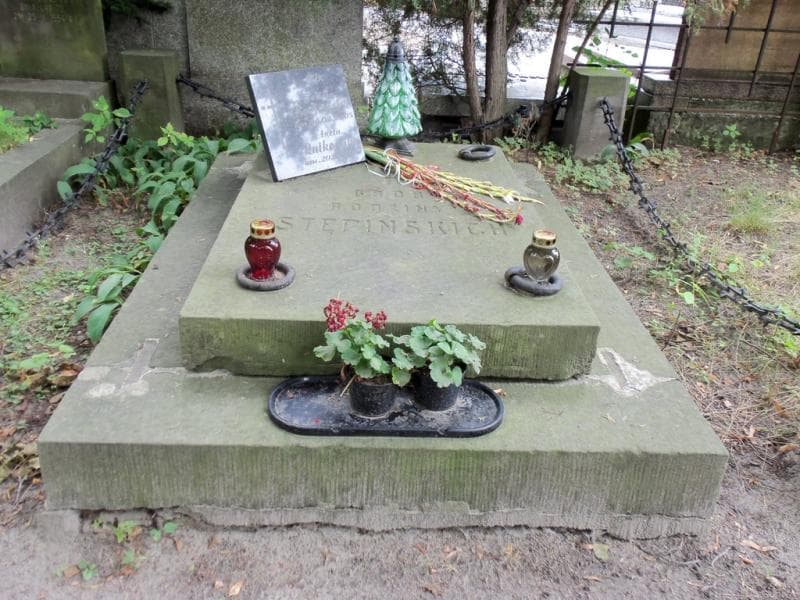 Zdjęcie grobu Stępińscy (2)