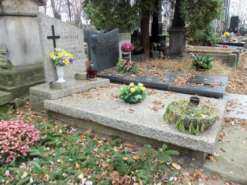 Zdjęcie grobu Czesława Sciborowska (1)