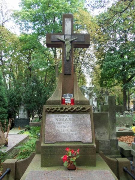 Zdjęcie grobu Alicja Woynicz - Sianożęcka (2)