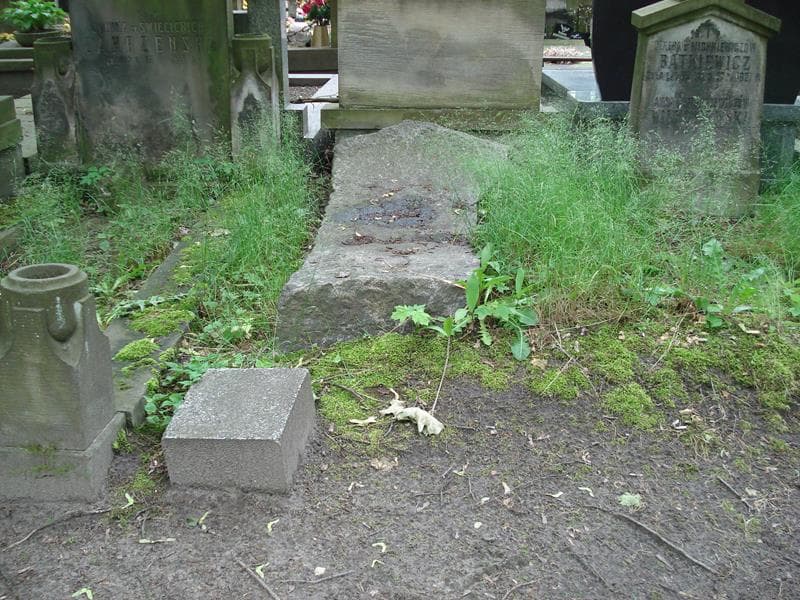 Zdjęcie grobu: Juliusz Rothe