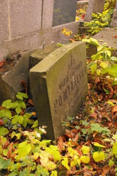 Zdjęcie grobu Marja Pomykalska (2)
