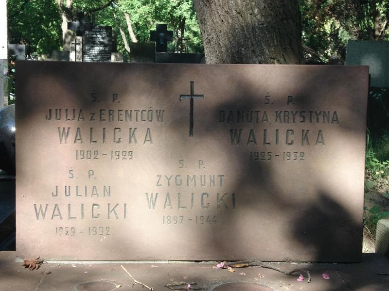 Zdjęcie grobu Danuta Krystyna Walicka (2)