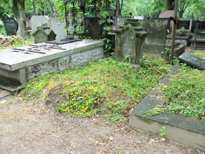 Zdjęcie grobu Władzio Zabłocki (1)