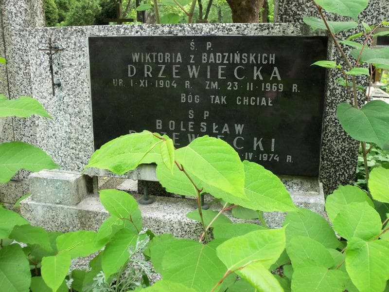Zdjęcie grobu Wiktoria Drzewiecka (2)