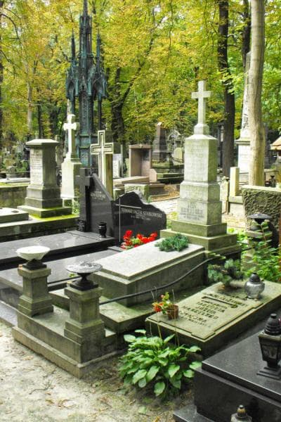 Zdjęcie grobu Edward Hendiger (1)