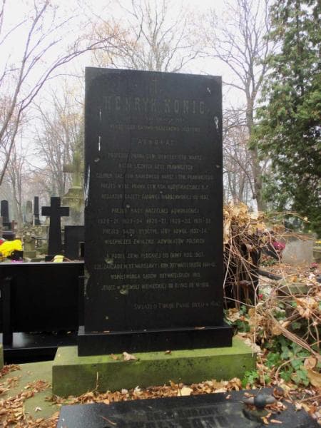 Zdjęcie grobu Karol Wolfson (2)