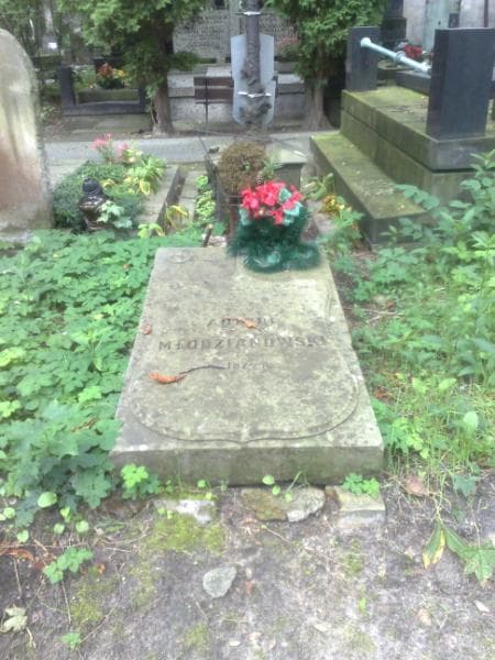Zdjęcie grobu: Antoni Młodzianowski