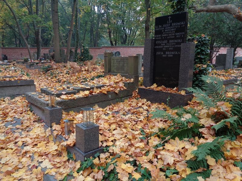Zdjęcie grobu: Józef Bromski