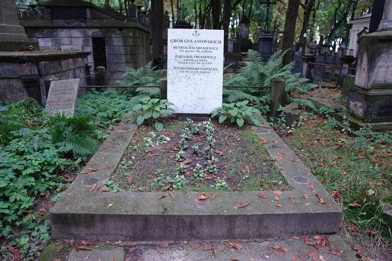 Zdjęcie grobu Henryk Bałtrukiewicz (1)