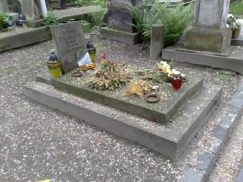 Zdjęcie grobu Wacław Strzelczyk (1)