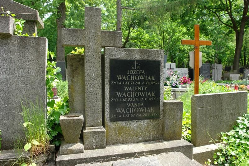 Zdjęcie grobu Walenty Wachowiak (2)