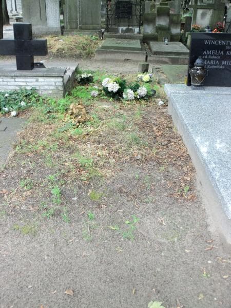 Zdjęcie grobu: Pole Grobowe