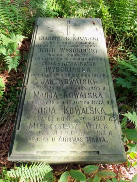 Zdjęcie grobu Teofil Wysokiński (2)