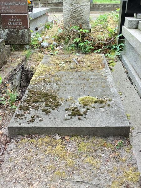 Zdjęcie grobu Stanisław Tomaszewski (2)