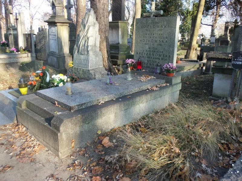 Zdjęcie grobu Alicja Krzyżanowska (1)