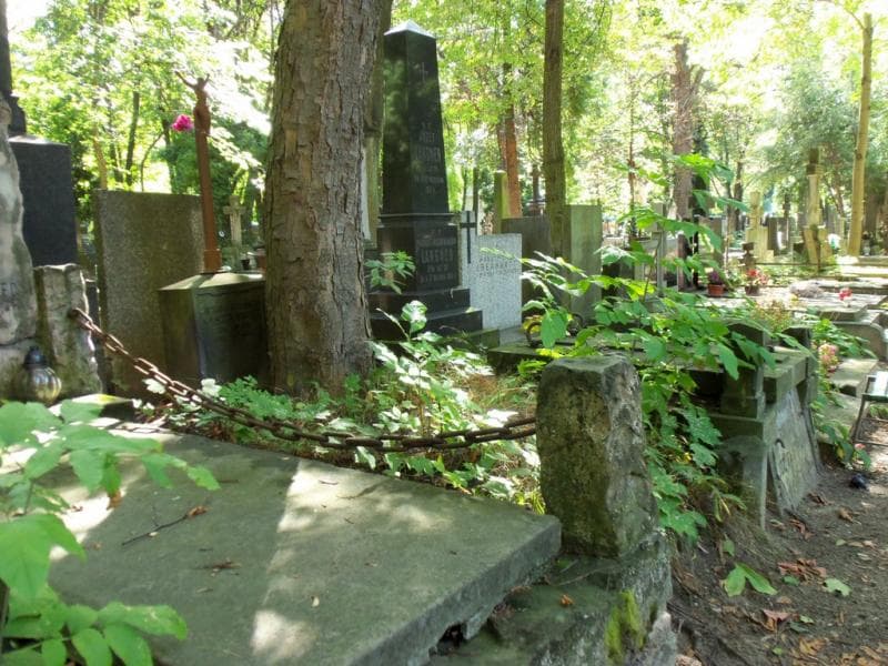 Zdjęcie grobu Rozalja Waszkowiak (1)
