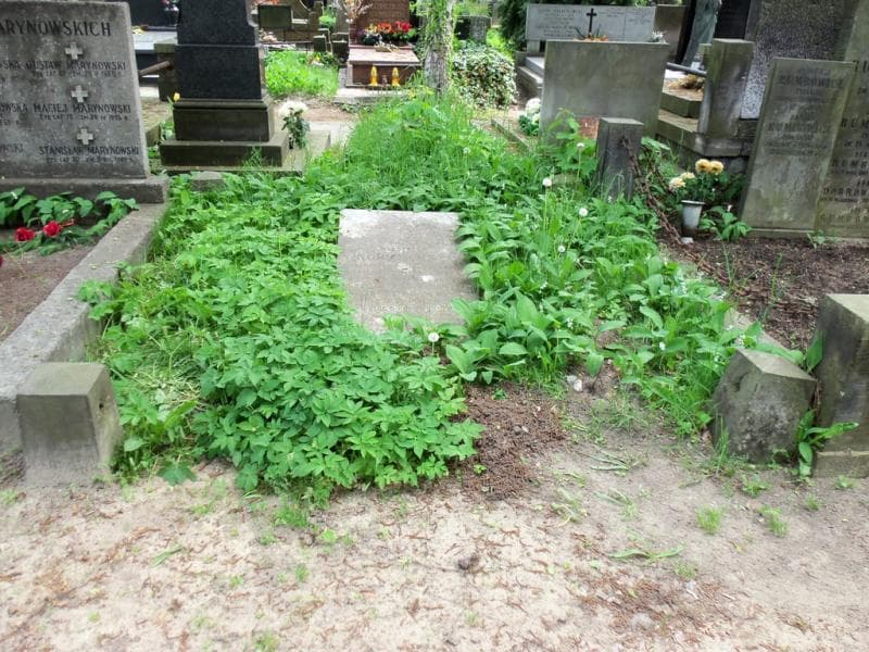 Zdjęcie grobu: Mieczysław Kobylański