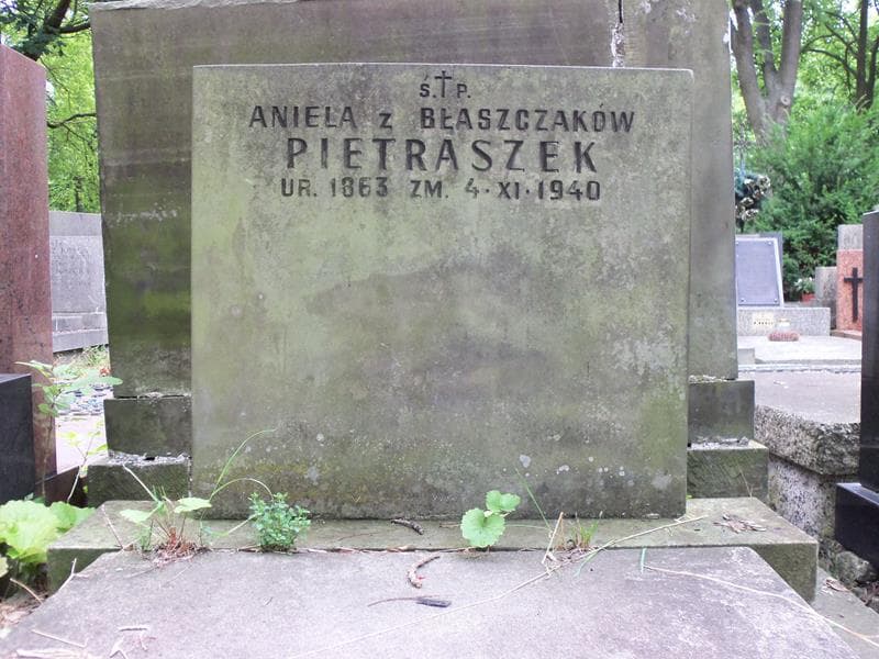 Zdjęcie grobu Aniela Pietraszek (2)
