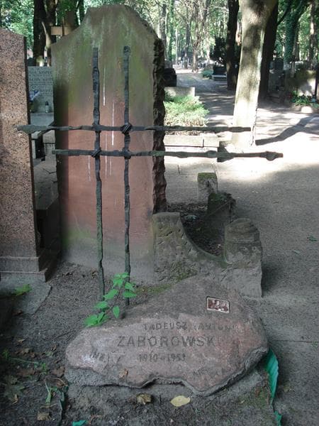 Zdjęcie grobu Tadeusz Antoni Zaborowski (1)