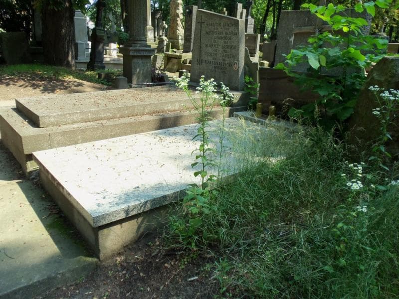 Zdjęcie grobu Janina Jedynak (1)